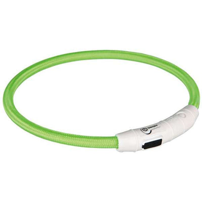 Leuchtring für Hunde – Flash USB Grün