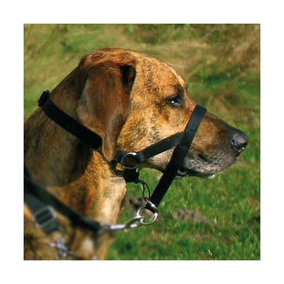 Ausbildungsgeschirr für Hunde – Top Trainer