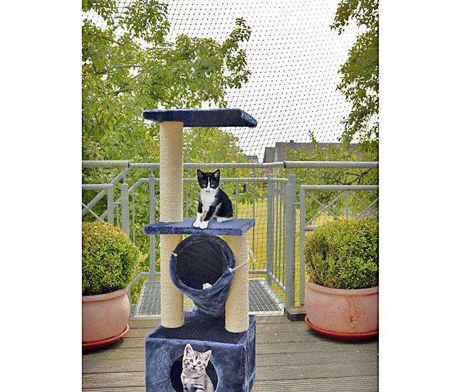 Katzenschutznetz –