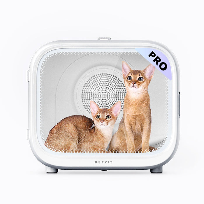 AirSalon Max Pro Haustier-Trocknungsbox – Ozon-Desinfektion