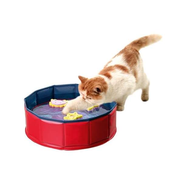 Beschäftigungsspielzeug für Katzen – Kitty Pool
