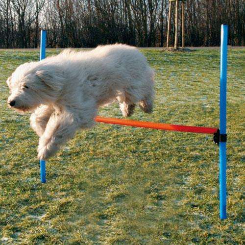 Agility Zubehör für Hunde – Hürde