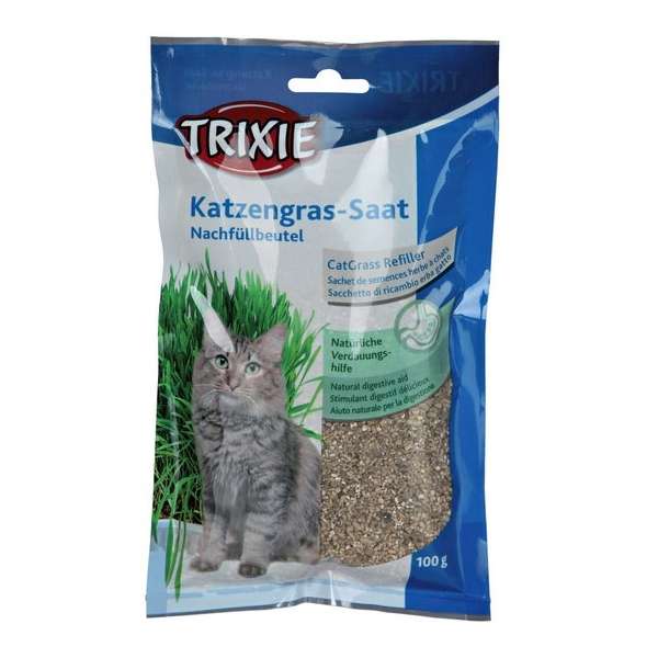 Ergänzungsfutter für Katzen – Bio-Katzengrassaat, ca. 100 g