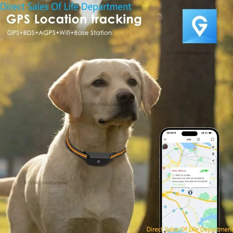 IP67 Waterproof Mini 4G GPS Pet Tracker Anti Lost Real Time Locator Dog Cat Collar with App Control for Small Medium Pets