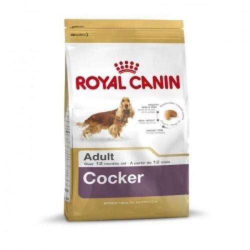 Hundetrockenfutter Cocker Adult, 3 kg – Royal Canin Rasse