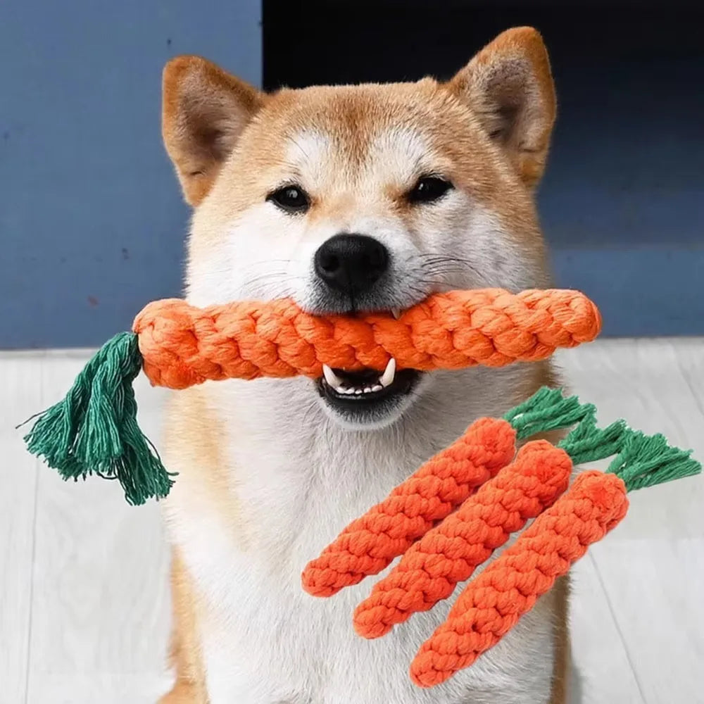 Hundespielzeug
