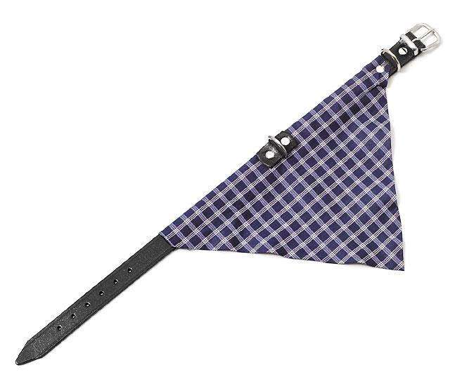 Hundehalsband – KOLIBRI