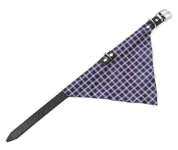 Hundehalsband – KOLIBRI