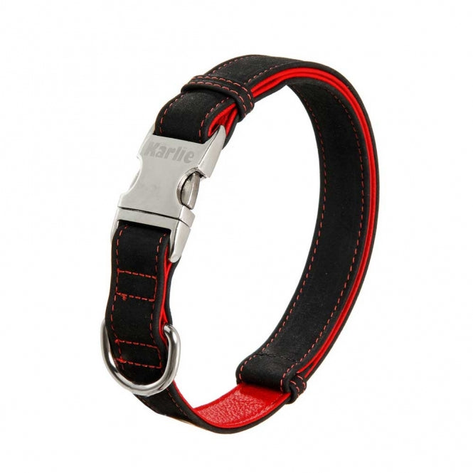 Hundehalsband – Buffalo Ultra