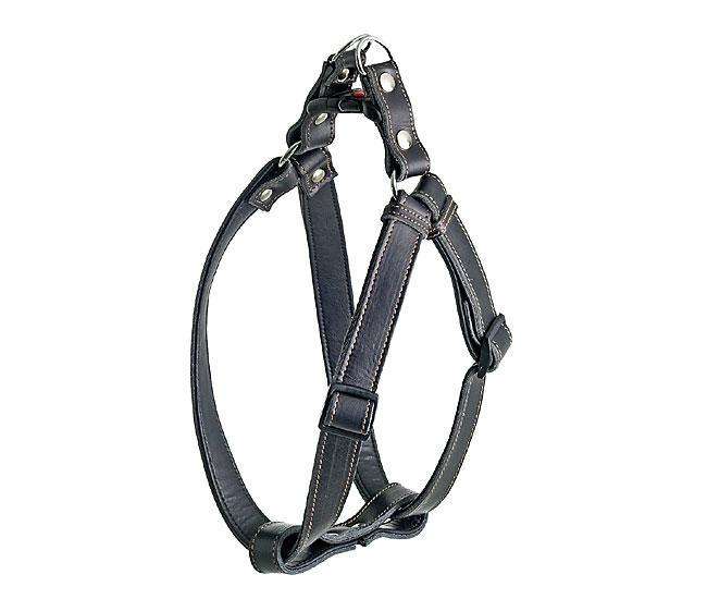 Hundegeschirr – RONDO 1 2 3 Step & Go, 25 mm, 60-90 cm