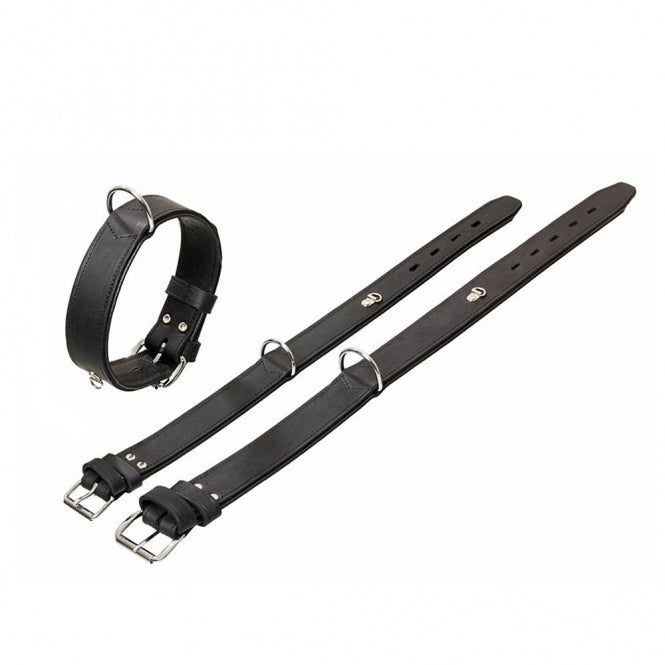 Hundehalsband – Rondo mit Ring für Adresstube