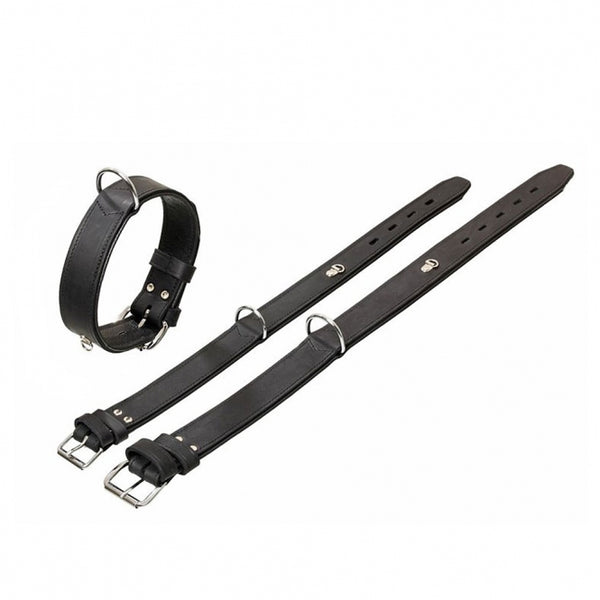 Hundehalsband – Rondo mit Ring für Adresstube