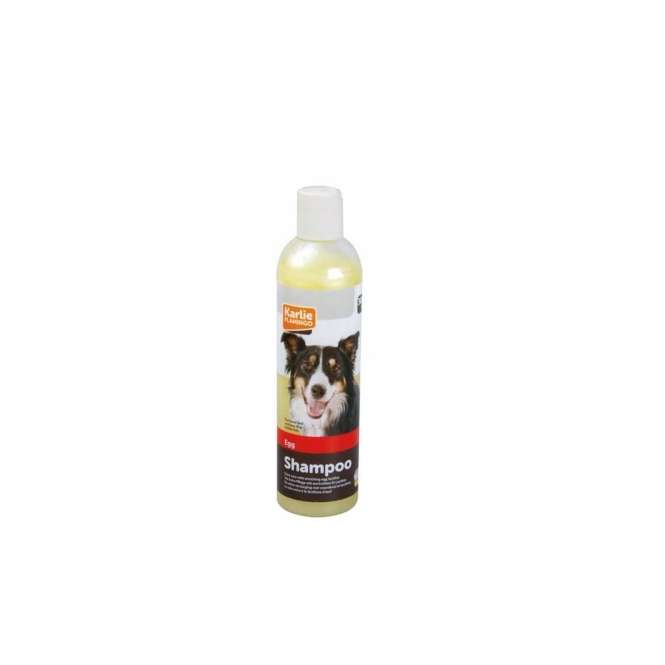 Ei-Shampoo für Hunde – Flamingo 300 ml