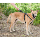 Auto-Sicherheitsgeschirr für Hunde – Flamingo Kunstleder, XS – Bild 2