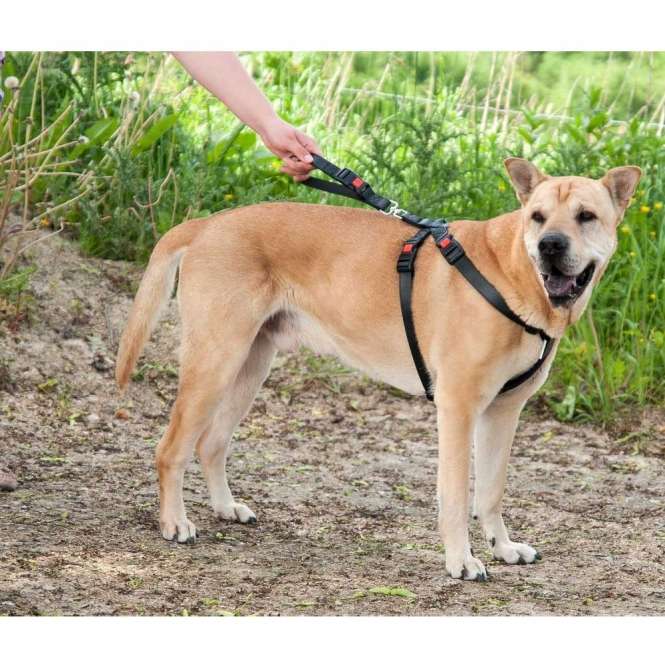 Auto-Sicherheitsgeschirr für Hunde – Flamingo Kunstleder, XS – Bild 2