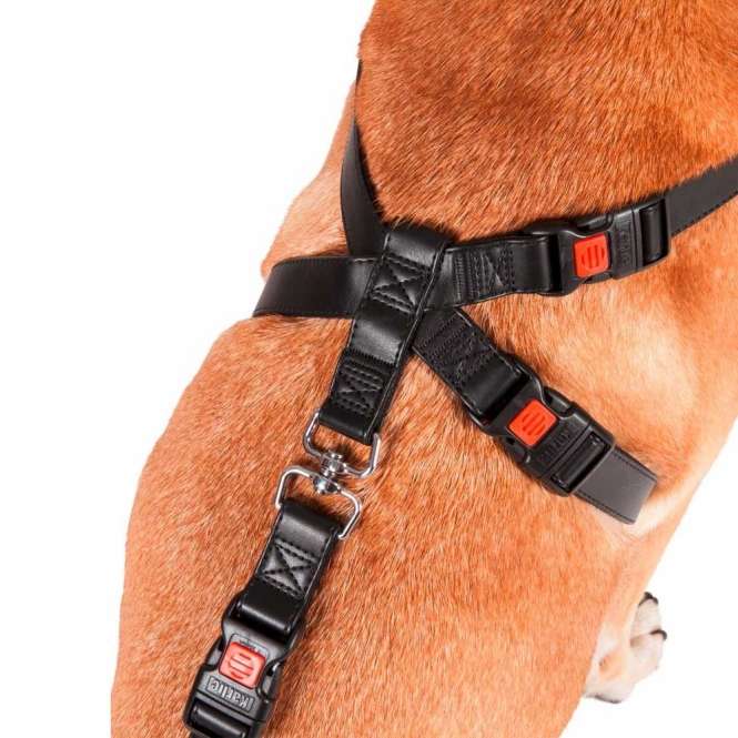 Auto-Sicherheitsgeschirr für Hunde – Flamingo Kunstleder, XS – Bild 3