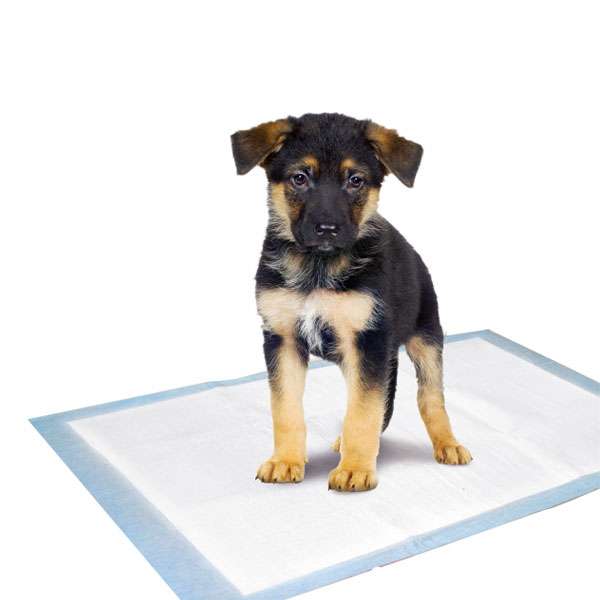 Welpenunterlage – Flamingo Puppy Pads Trainingsmatten