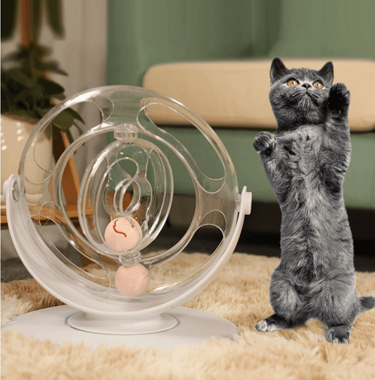 Interaktives Drehscheiben-Spielzeug für Katzen