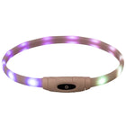 Leuchtring für Hunde – Flash USB, multicolor – Bild 3