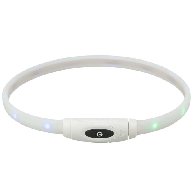 Leuchtring für Hunde – Flash USB, multicolor – Bild 4