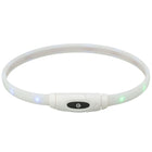 Leuchtring für Hunde – Flash USB, multicolor – Bild 4