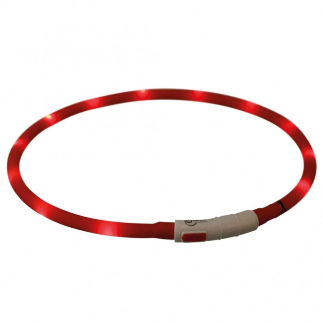 Leuchtring für Hunde – Flash USB aus Silikon – Bild 21
