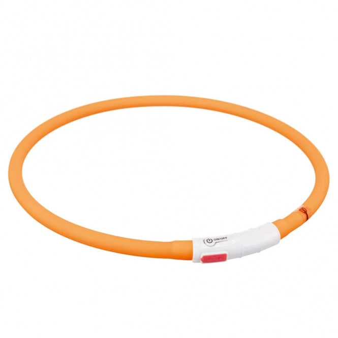 Leuchtring für Hunde – Flash USB aus Silikon – Bild 16