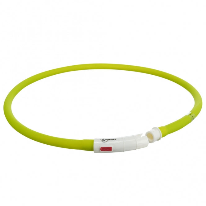 Leuchtring für Hunde – Flash USB aus Silikon – Bild 12