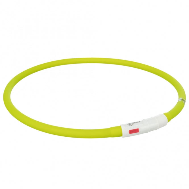 Leuchtring für Hunde – Flash USB aus Silikon – Bild 11