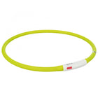 Leuchtring für Hunde – Flash USB aus Silikon – Bild 11