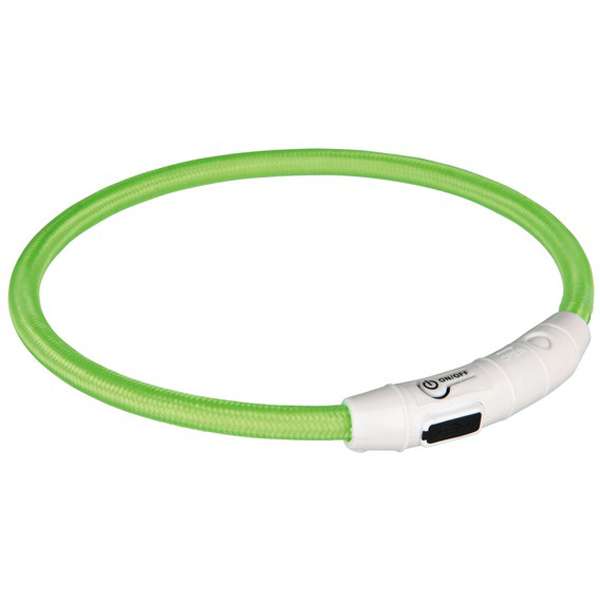 Leuchtring für Hunde – Flash USB Grün
