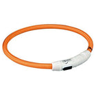 Leuchtring für Hunde – Flash USB Orange
