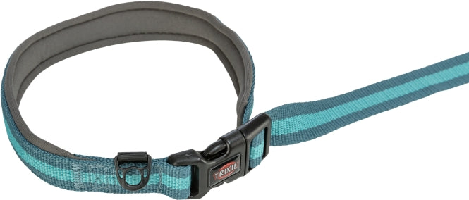 Jogging-Hundeleine – grafit/aqua – Bild 2