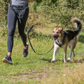 Bauchgurt mit Leine für mittelgroße und große Hunde | Trixie