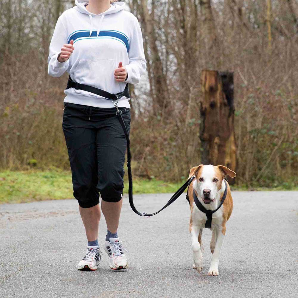 Bauchgurt mit Leine für mittelgroße und große Hunde, 75-120 cm – Trixie