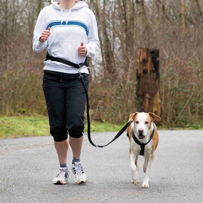Bauchgurt – mit Leine für mittelgroße und große Hunde, 75-120 cm