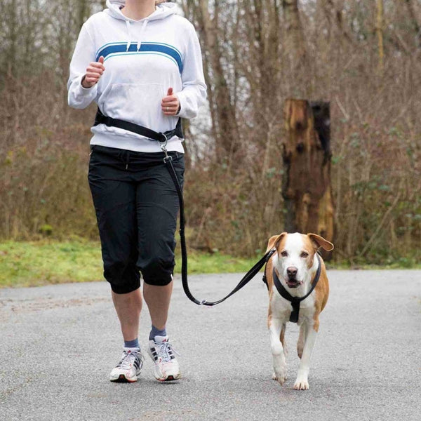 Bauchgurt – mit Leine für mittelgroße und große Hunde, 75-120 cm