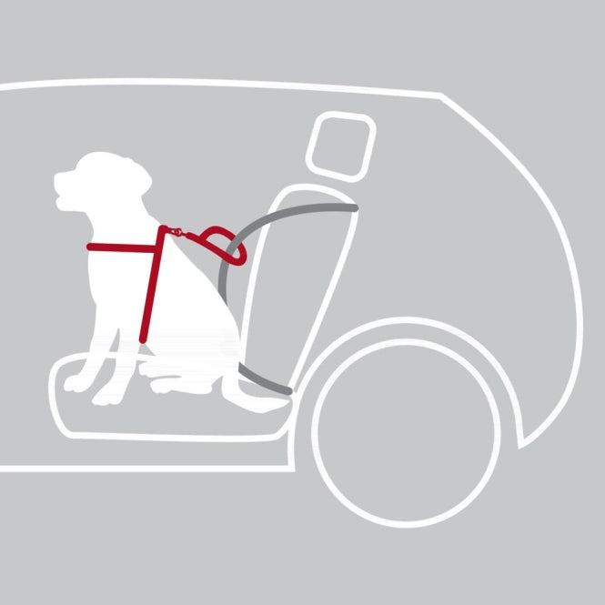 Auto-Sicherheitsgeschirr für Hunde – Dog Protect – Bild 3