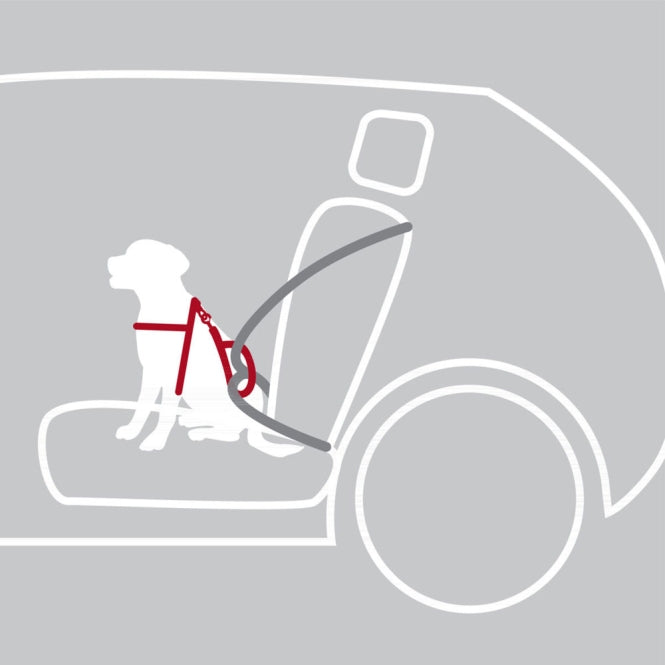Auto-Sicherheitsgeschirr für Hunde – Dog Protect – Bild 4