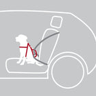 Auto-Sicherheitsgeschirr für Hunde – Dog Protect – Bild 4