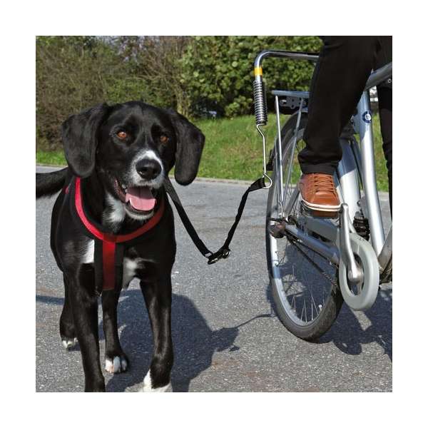 Fahrradhalter für Hunde – Biker-Set, Gr. S-M