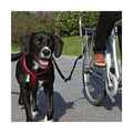 Fahrradhalter für Hunde Biker-Set, Gr. S-M | Trixie