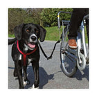 Fahrradhalter für Hunde – Biker-Set, Gr. S-M