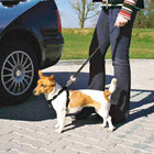 Auto-Sicherheitsgeschirr für Hunde –  – Bild 2