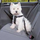 Auto-Sicherheitsgeschirr für Hunde – Trixie