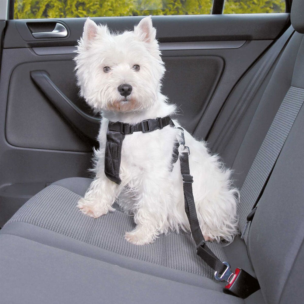 Auto-Sicherheitsgeschirr für Hunde – Trixie