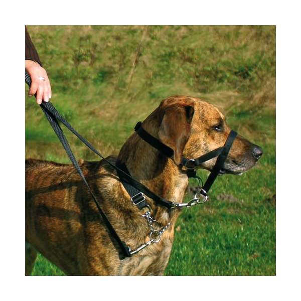 Ausbildungsgeschirr für Hunde – Top Trainer – Bild 2