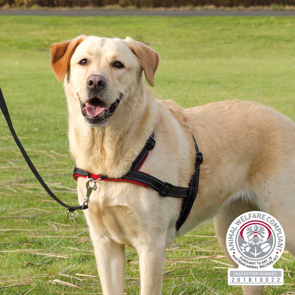 Trainingsgeschirr für Hunde Lead'n'Walk Soft – Trixie
