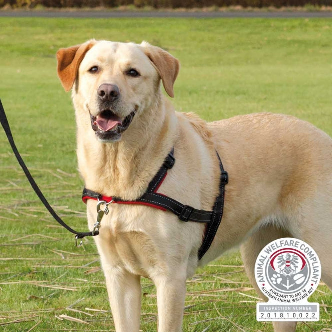 Trainingsgeschirr für Hunde – Lead'n'Walk Soft – Bild 9