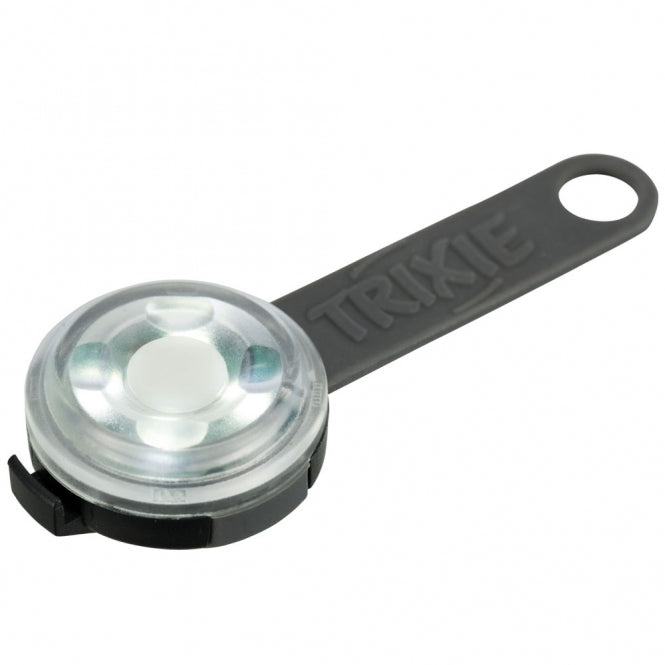 Hundeleine – USB Flasher für Hunde